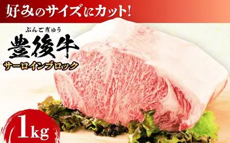 おおいた豊後牛 サーロイン ブロック 1kg  日田市 [AREI023] サーロイン ステーキ 