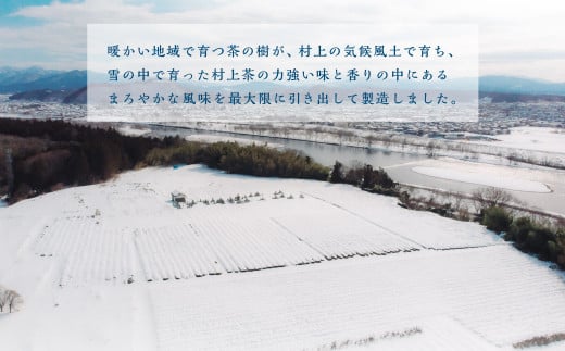 村上茶　雪国緑茶ペットボトル24本入り 1005005