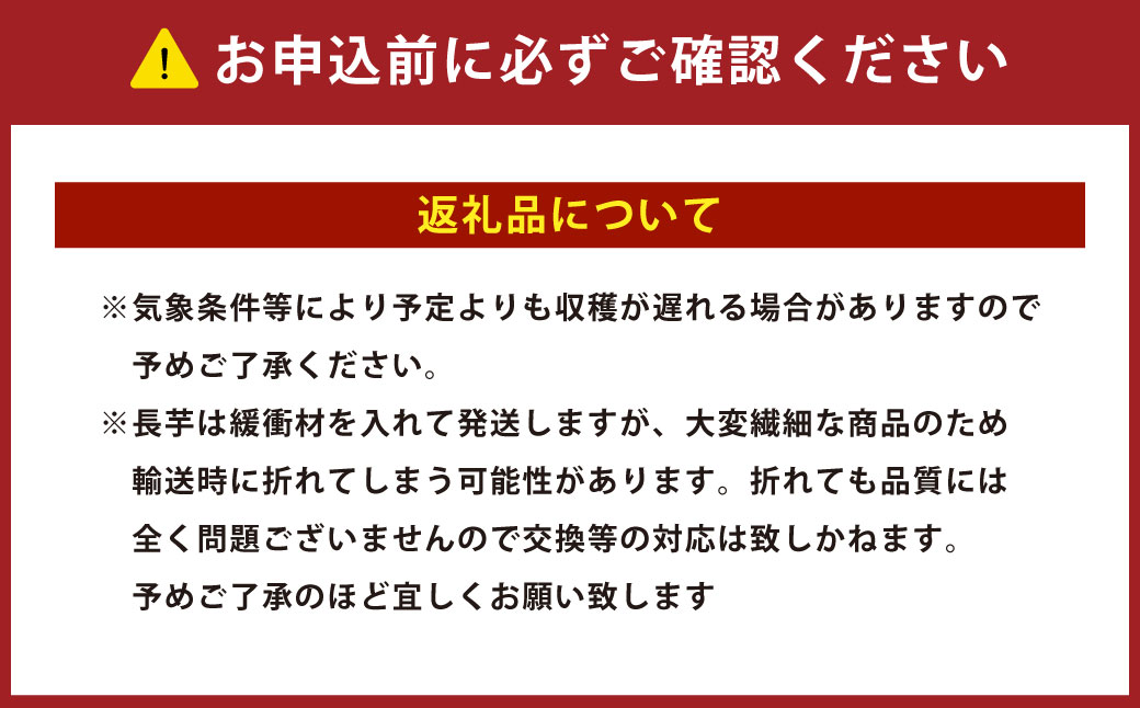 令和6年産「JAおとふけ」ながいも6本セット【A51】