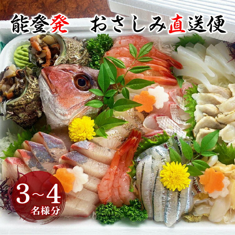 【ふるさと納税】【能登半島地震復興支援】☆楽天限定☆【発送時期が選べる】魚介類 刺身 「おさしみ直送便～海～」3～4名様分　能登発お刺身盛り合わせ ※北海道・青森・九州(福岡を除く)・沖縄・離島への配送不可