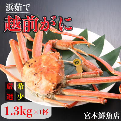 【2025年11月中旬頃より順次発送】《浜茹で》越前がに　1.3kg以上×1杯【配送不可地域：離島・北海道・沖縄】【1611402】