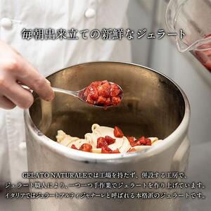 【福岡市の返礼品】九州の旬の食材を使用したオーガニックジェラート　8個