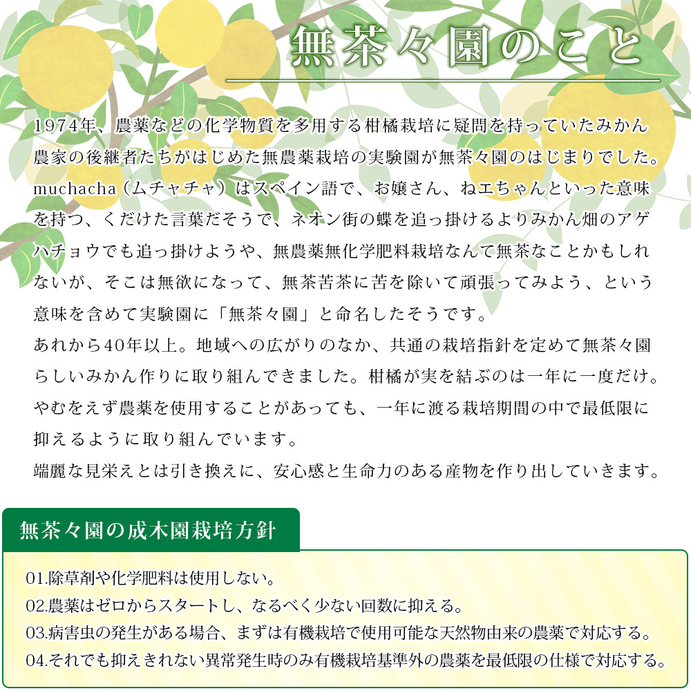 ＜無茶々園のジューシーフルーツジュース 180ml×12本＞ 柑橘 果物 オレンジ フルーツ ストレート 果汁100%  河内晩柑 小瓶 特産品 無茶々園 愛媛県 西予市