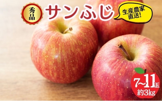 【2026年12月発送】サンふじ 秀品 約3kg 7～11玉 りんご ふじ 果物 信州 長野