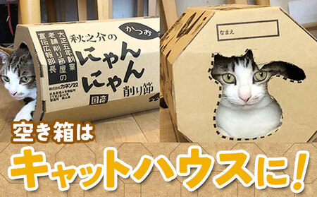 秋之介のにゃんにゃん削り節 22g×10袋