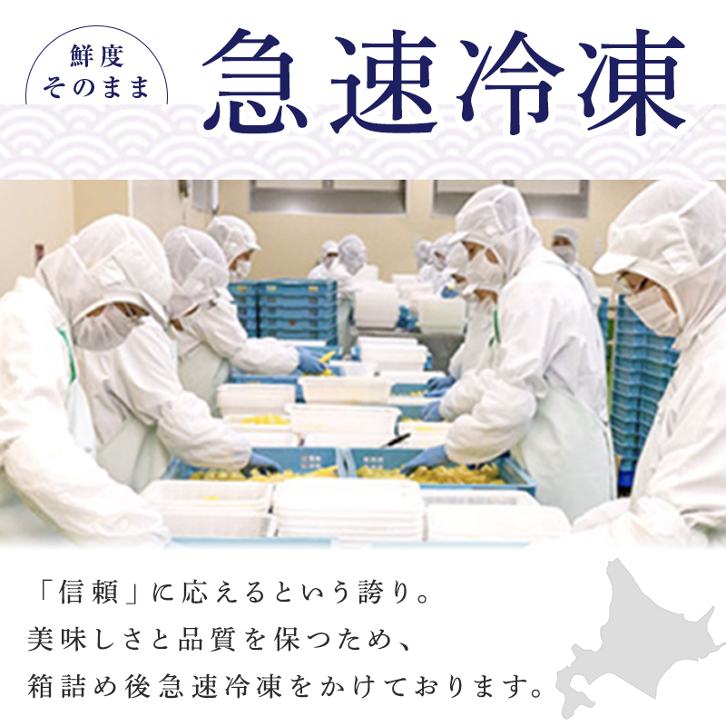 魚卵 定期便 6ヵ月 すじこ 訳あり 北海道 紅鮭 筋子 醤油 漬け 500g (250g×2個入) 加藤水産 ひとくちカット 不揃い 小分け つまみ おつまみ ごはんのお供 惣菜 おかず 珍味 海鮮