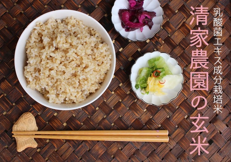 
            【令和7年産】清家農園 錦米（にこまる）玄米3kg【特別栽培・農薬不使用】
          