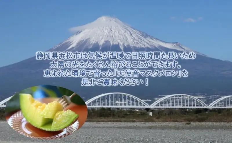 メロン 天使音 グラン ベベ 1玉 フルーツ 果物 メロン