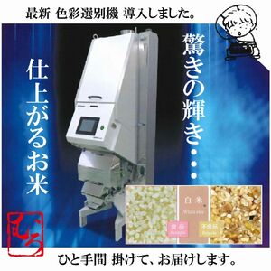 令和6年度  きぬむすめ10kg(精白、5kg×2)