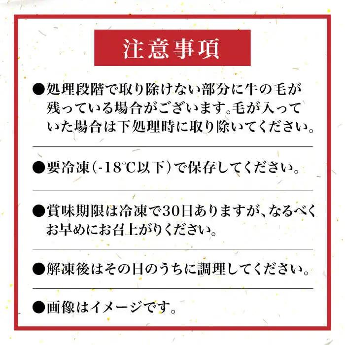 【全12回定期便】【化粧箱入】博多和牛 牛すじ 切落し 1kg VCL116 牛すじ