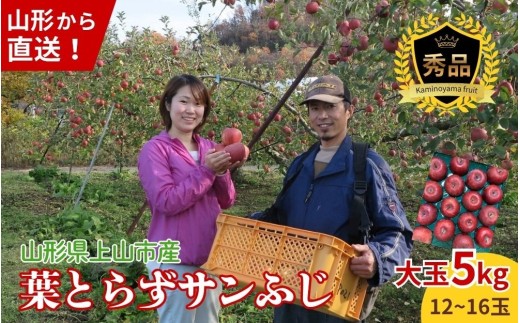 有機肥料栽培　葉とらずサンふじ　上山市産　５ｋｇ　大玉　１２～１６玉　0079-2626