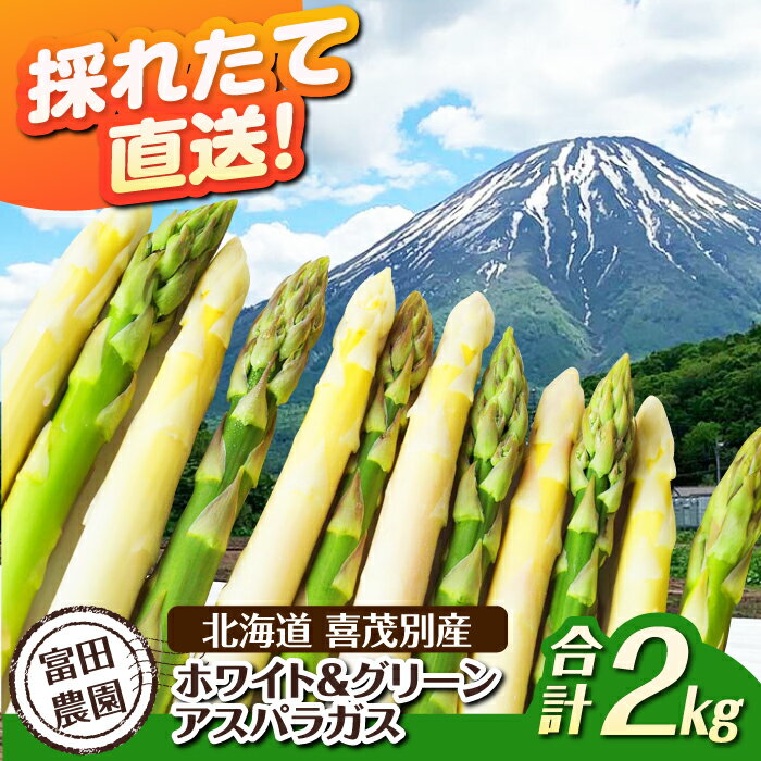 【ふるさと納税】【2026年分予約開始】数量限定 こだわり農家のホワイト＆グリーンアスパラセット 計2kg（各1kg）《喜茂別町》【富田農園/スプレス】 アスパラ アスパラガス グリーンアスパラガス ホワイトアスパラガス 季節の野菜 春野菜 先行予約 [AJAJ006] 23000 23000円