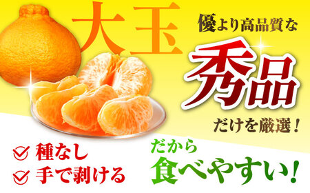 【先行予約】 【数量限定】 柑橘の王様 ハウス栽培 不知火 デコポン 約3kg（7～12玉） 【小春農園】[ZBN003]