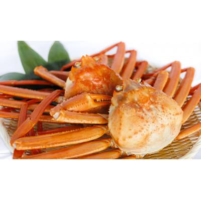 ふるさと納税 射水市 新湊産紅ズワイガニ(中サイズ約600g×2尾)