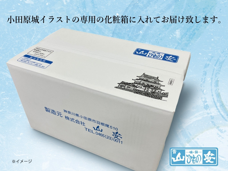 【 小田原 山安 】 大きな縞ほっけ開き干し 約3kg (6枚)【 縞ほっけ 開き干し ほっけ 干物 脂ののった大きめサイズ 500g 6枚 詰合せ 神奈川県 小田原市 】