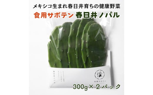 【ふるさと納税】メキシコ生まれ春日井育ちの健康野菜食べるサボテン春日井ノパル300グラム2パック　※2025年4月から順次発送　サボテン 多肉植物 ウチワサボテン 食用サボテン ノパル　野菜　健康