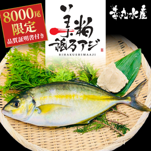 高級 シマアジ 美粕祇万アジ 4人前 500g フィーレ4パック カマ アラ出汁パック 高級魚 刺身 刺身用 縞鯵 鯵 海鮮 鮮魚 新鮮 魚介 冷凍 魚 さかな 小分け 高知県 須崎市 SCM001-
