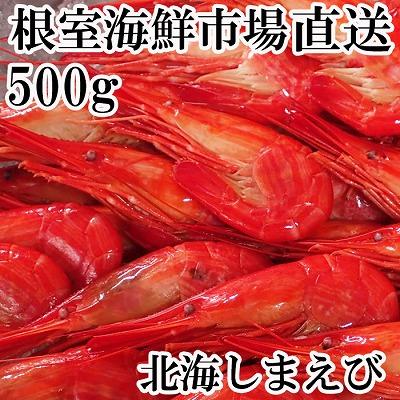 ふるさと納税 根室市 北海しまえび500g×1P A-11255