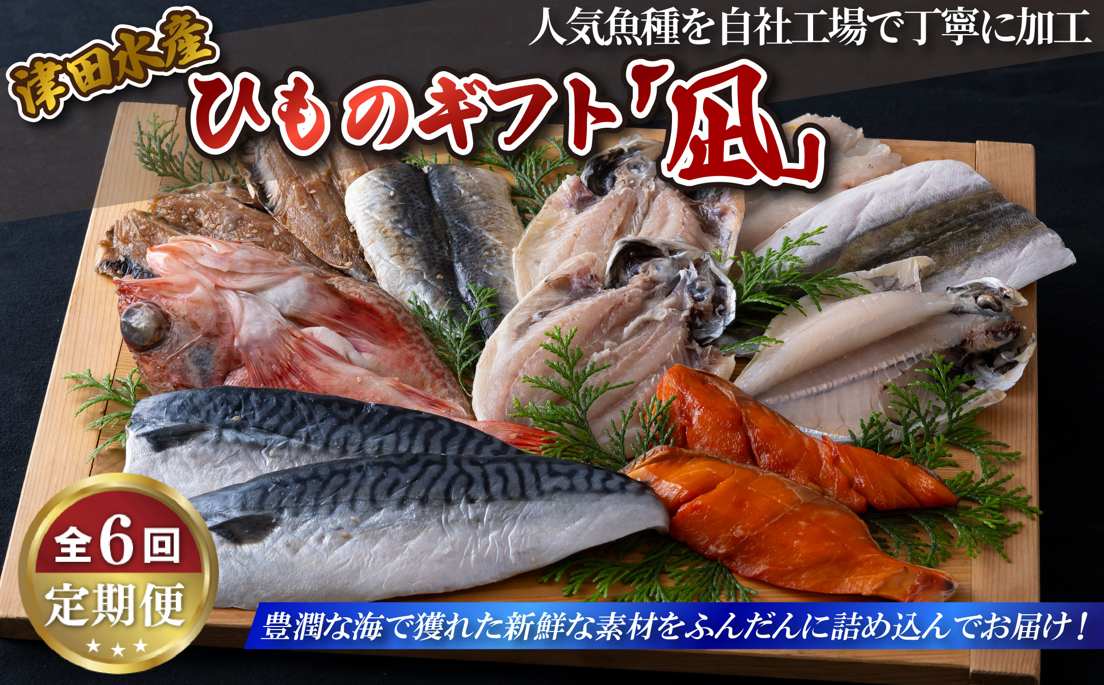 《定期便》ひものギフト｢凪｣津田水産【6回お届け】