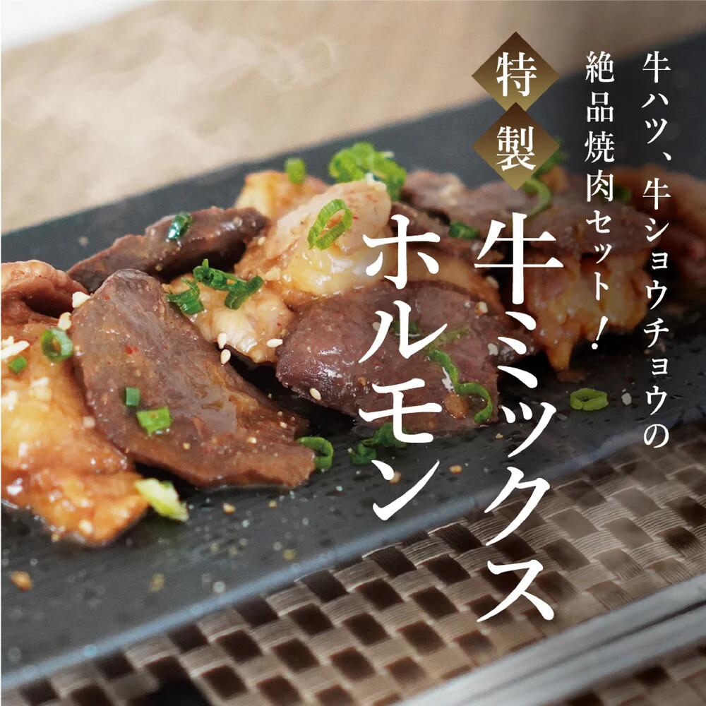 【ふるさと納税】牛ミックスホルモン＜選べる容量＞ ＜200g×2袋・200g×4袋＞