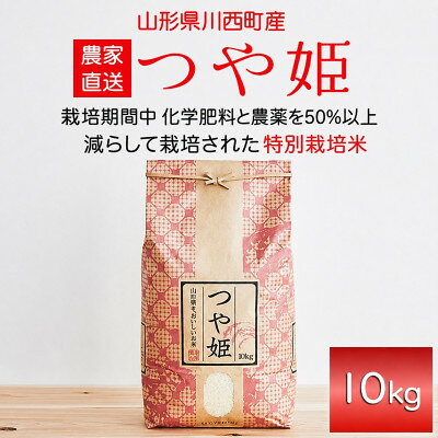 【ふるさと納税】《先行予約》令和8年産　山形県産　つや姫　10kg【1120493】
