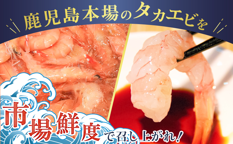 鹿児島産 タカエビ600g 6人前　K100-011
