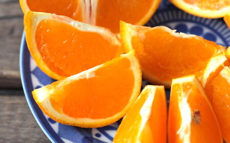 【訳あり・ご家庭用】【濃厚】有田産清見オレンジ約5kg(サイズおまかせまたは混合)ご家庭用【2026年2月中旬～3月下旬頃発送予定】【TM-tec1020】