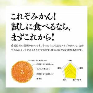 【天空の果樹園】そらみかん (5kg)【C45-68】【1339405】