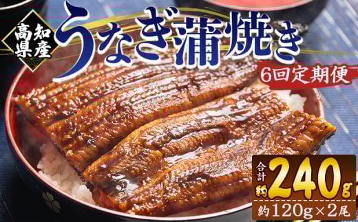国産 うなぎ 定期便 100g～120g 2尾 6回 蒲焼き 高知県産 養殖 魚介 国産 海鮮 魚 かばやき 鰻 ウナギ 惣菜 おかず お手軽 加工品 加工食品 冷凍 Wfb-0039