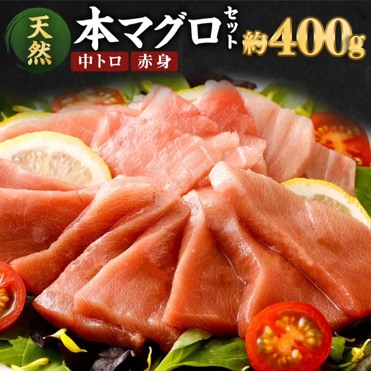 天然マグロ 2種 約400g【まぐろ】ge010