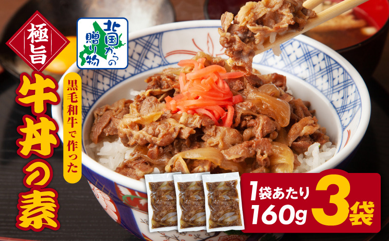 099H3431 【黒毛和牛】極旨 牛丼の素 160g×3袋【小分け 時短 簡単便利 レンチン 夜食 つまみにもオススメ 北国からの贈り物】