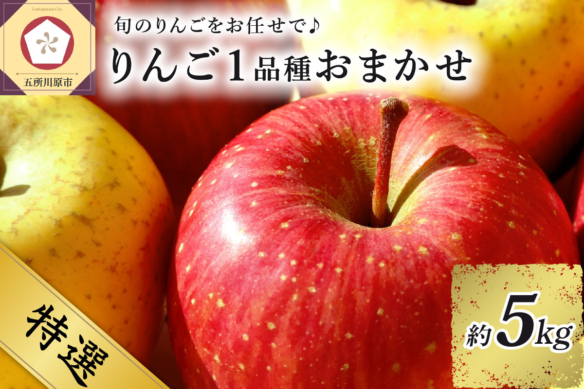 
【選べる配送時期】 【特選】 旬の美味しい りんご 約5kg 青森産 【おまかせ1品種】
