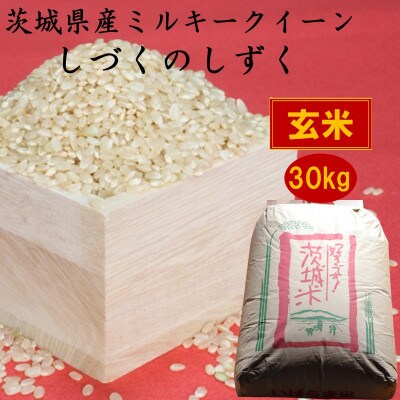 茨城県産ミルキークイーンしづくのしずく30kg(玄米)【1398875】