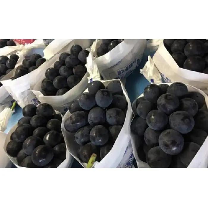 岡山県産 贈答用ニューピオーネ 2房（1房600g前後） 加温ハウス栽培 フルーツ ぶどう 葡萄 ひらた農園 2026年