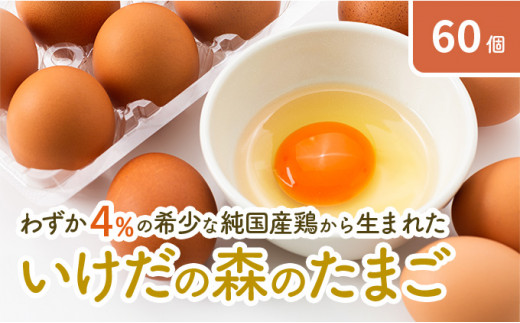 
【ふるさと納税】卵 わずか4%の希少な純国産鶏 いけだの森たまご 60個 こだわり おこめのたまご 玉子 鶏卵 生卵 産地直送 冷蔵配送 TKG 卵かけご飯 岐阜県産
