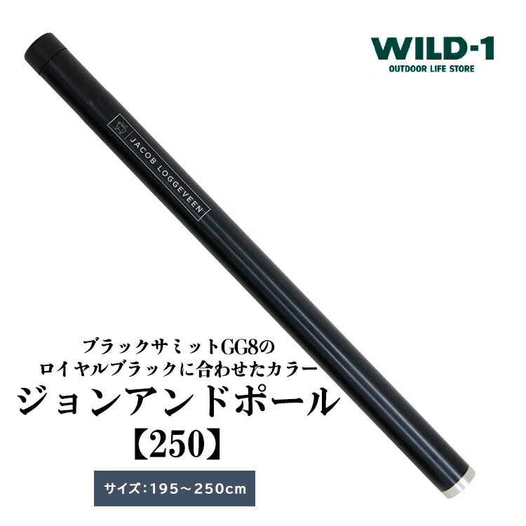 【ふるさと納税】【年内発送 12/25迄受付】JOHN AND POLE 250 ジョンアンド ポール | tent-Mark DESIGNS テンマクデザイン WILD-1 ワイルドワン キャンプ アウトドアギア テント バーベキュー BBQ ソロキャンプ グランピング イベント
