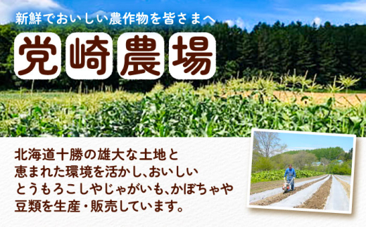 【先行予約】【新豆 R8年度産】北海道 あしょろの大正金時 1kg×2袋《足寄町》【党崎農場】[BEAA018]大正金時 金時豆 豆 まめ マメ 大粒 甘味 甘煮 煮物 スープ  カレー サラダ コロッケ パン 健康 足寄町産 北海道産 道産 寒冷地 足寄町 北海道 12000 12000円