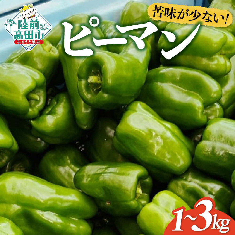 【ふるさと納税】獲れたて 新鮮 ピーマン 内容量が選べる 1kg ～ 3kg [ 野菜 ベジタブル 新鮮 大容量 旬 人気 おすすめ 料理 野菜炒め 肉詰め 青椒肉絲 常温 バーベキュー アウトドア キャンプ 産地直送 野菜ソムリエ 国産 岩手県 陸前高田市 Farm Koganeyama ]