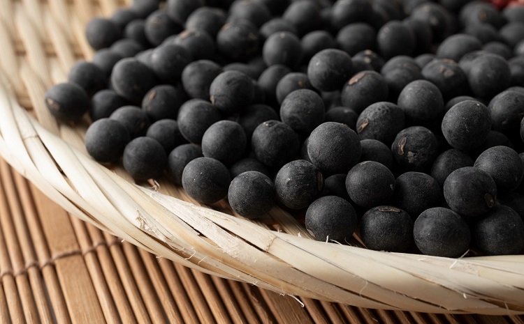 京丹波町産 丹波黒大豆 2L 300g 生産者限定 京都 丹波 生豆 令和6年度産