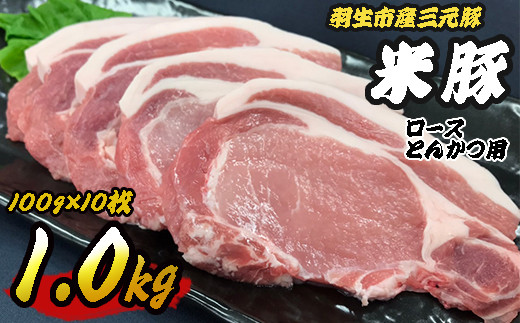 豚肉 豚肉ロース 1kg (100g×10枚) ロースとんかつ用 三元豚 米豚 国産 豚 ポーク 肉 羽生市産 小分け 個包装 小袋 便利 ブランド ブランド豚 トンテキ ステーキ 精肉 まとめ買い 間中さん家 株式会社古川ミート 埼玉県 羽生市