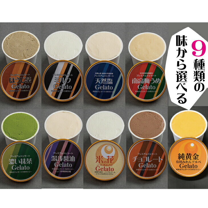 【ふるさと納税】 プレミアムジェラート 12個セット アイスクリームセット＜10種類の味から選べる！＞ 100mlカップ ゆあさジェラートラボラトリー