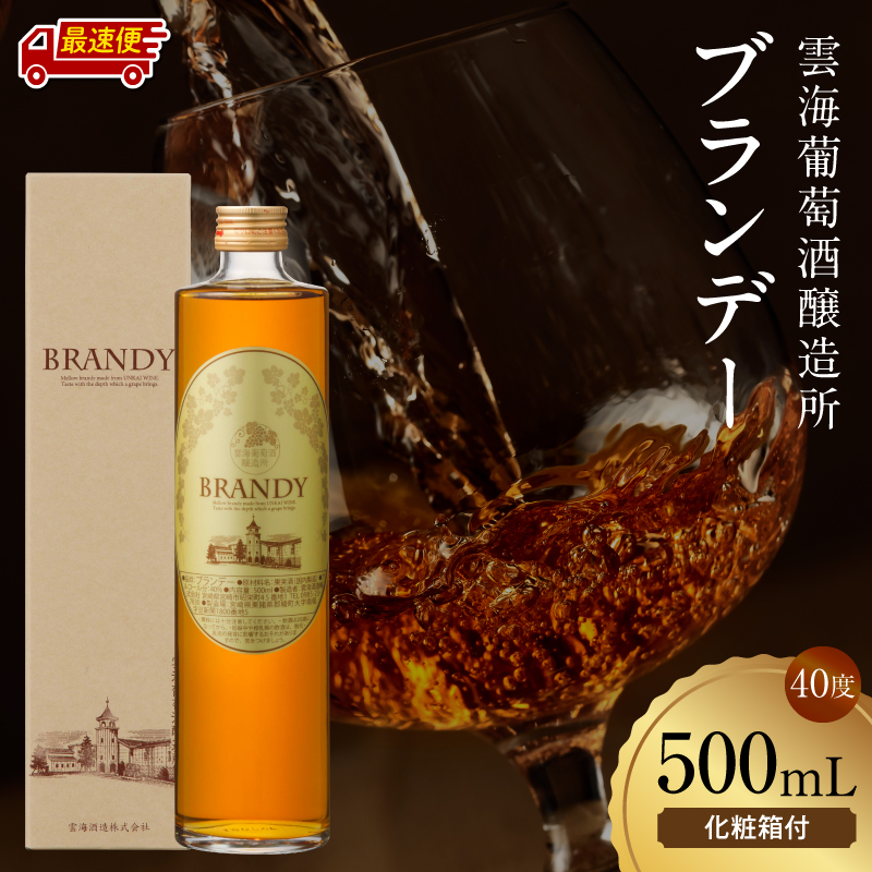 【最速便】雲海葡萄酒醸造所 ブランデー 500ml_M375-005-01-2W