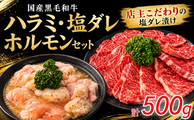 
                  国産黒毛和牛 ハラミ・塩ダレホルモンセット計500g 肉 国産 阿波牛 ハラミ 小腸 塩だれ BBQ 夏 焼肉 おつまみ ビール 牛肉 冷凍 小松島市
                