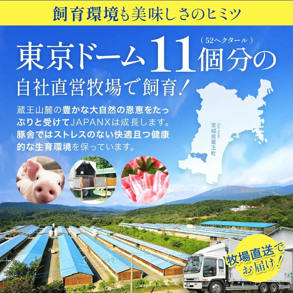 JAPAN X ホルモンバラエティセット2.4kg(モツタンレバーハラミテッポウ）　【04301-0070】