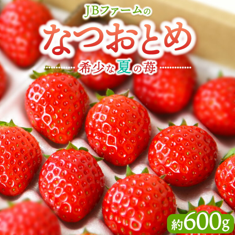 【ふるさと納税】【先行予約】【産地直送】JBファームのなつおとめ（約600g） ｜ いちご イチゴ 苺 赤い 甘い 酸味 ジューシー 高級 評判 新鮮 フルーツ 果物 スイーツ ジャム アレンジ 洋菓子 加工品 好評 人気 生産量 日本一 栃木県産 夏秋 希少 食べ比べ 贈答品 日持ち