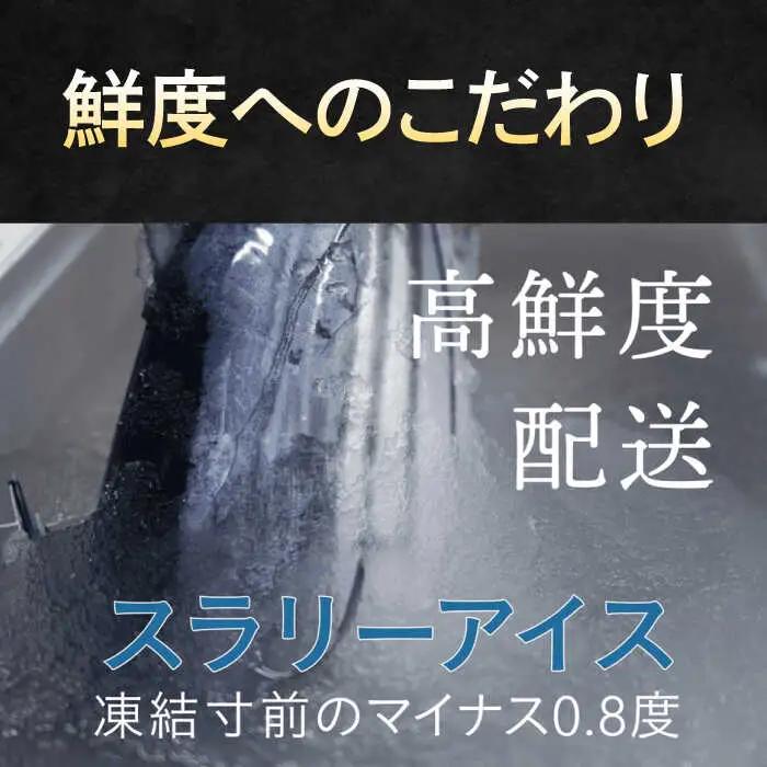 【土佐久礼かつお】 旬凍藁焼きタタキ 3から4人前（約400g） / 高知 土佐 久礼 かつお カツオ 鰹 たたき タタキ 【株式会社ジャパンダイニング】[ATHR001]