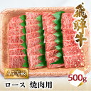 【ふるさと納税】飛騨牛 A5 焼肉 ロース 500g 2-3人前 | 牛肉 お肉 にく 焼き肉 やきにく 黒毛和牛 国産 冷凍 化粧箱入り ギフト 贈答 人気 おすすめ BBQ バーベキュー アウトドア キャンプ 岐阜 高山 BV015