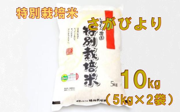 
            農薬・化学肥料：栽培期間中不使用米　さがびより 10kg(5kg×2)
          