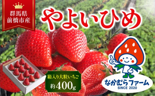 いちご『やよいひめ』約400g　【群馬県いちご品評会入賞！】