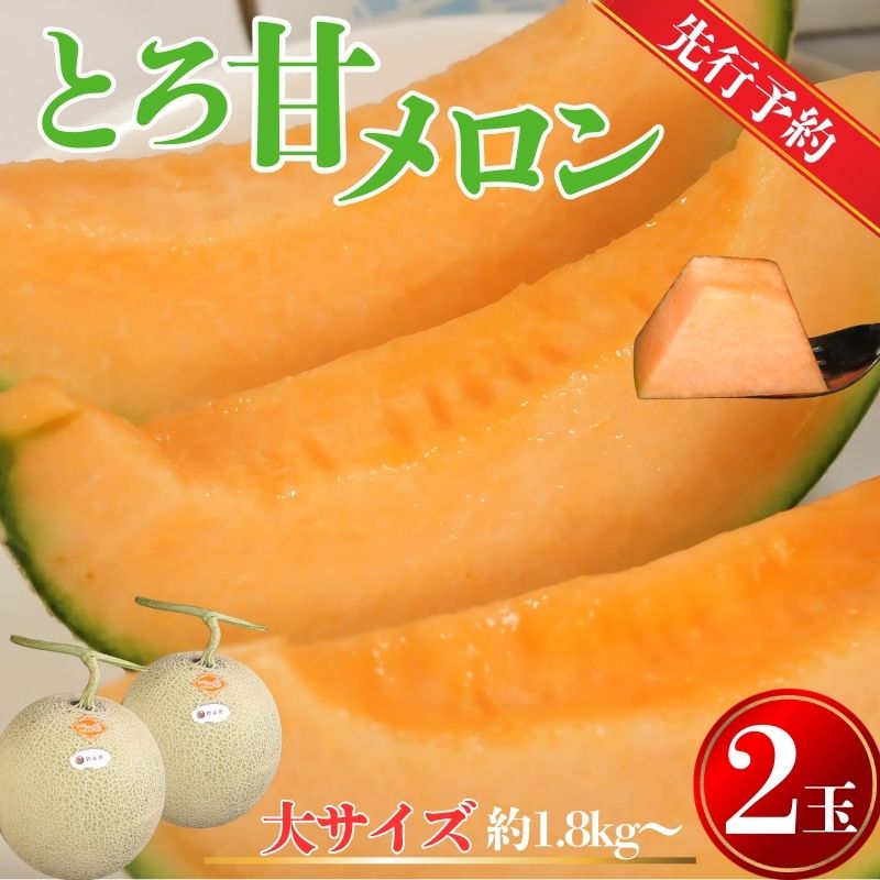 【ふるさと納税】 【先行予約】 赤肉とろ甘メロン 大サイズ 2玉 （ 1玉約1.8kg以上 ） 銚子産 弥兵衛 完熟 熟成 メロン 赤肉 果物 フルーツ ギフト プレゼント 贈答 お取り寄せ 産地直送 送料無料 ふるさと納税 ふるさと納税果物 千葉県 銚子市 弥兵衛 7月上旬～発送